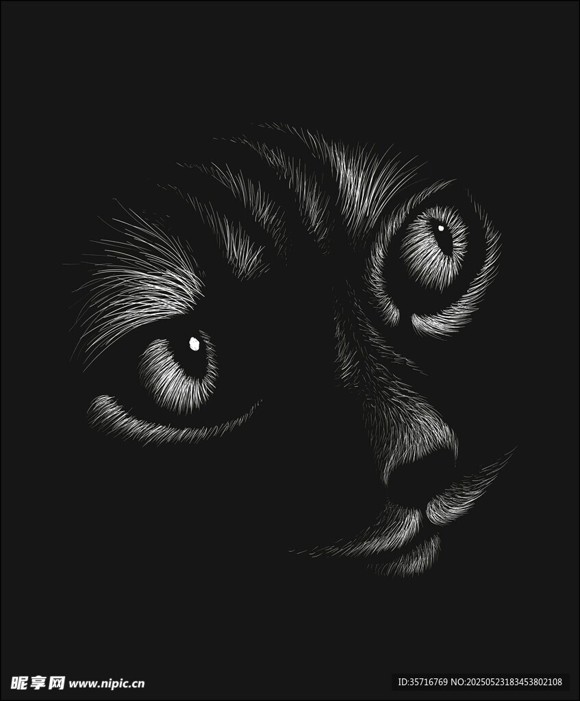 手绘线条猫