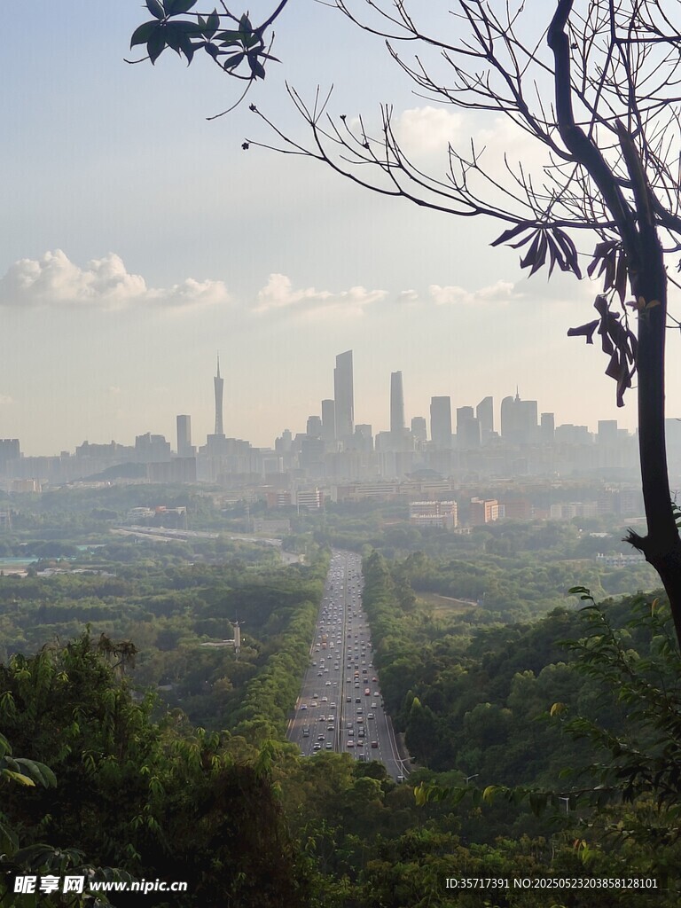 城市远景与林间道路景观