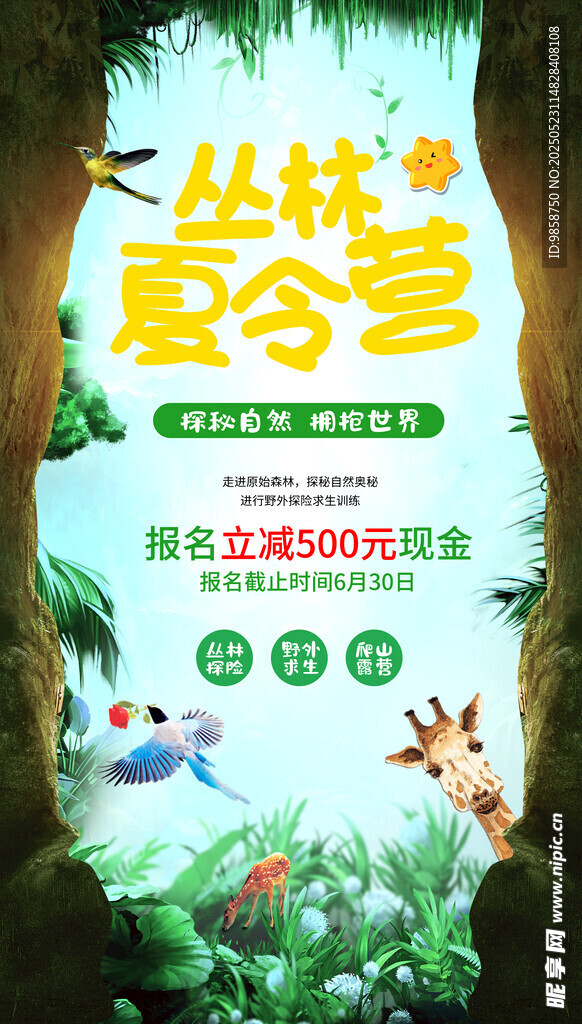 丛林夏令营宣传海报
