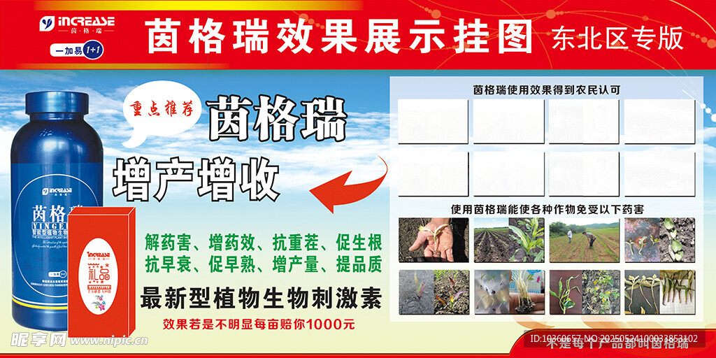 茵格瑞展示图