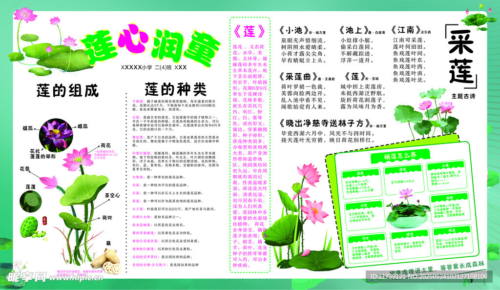 小学莲文化电子板报