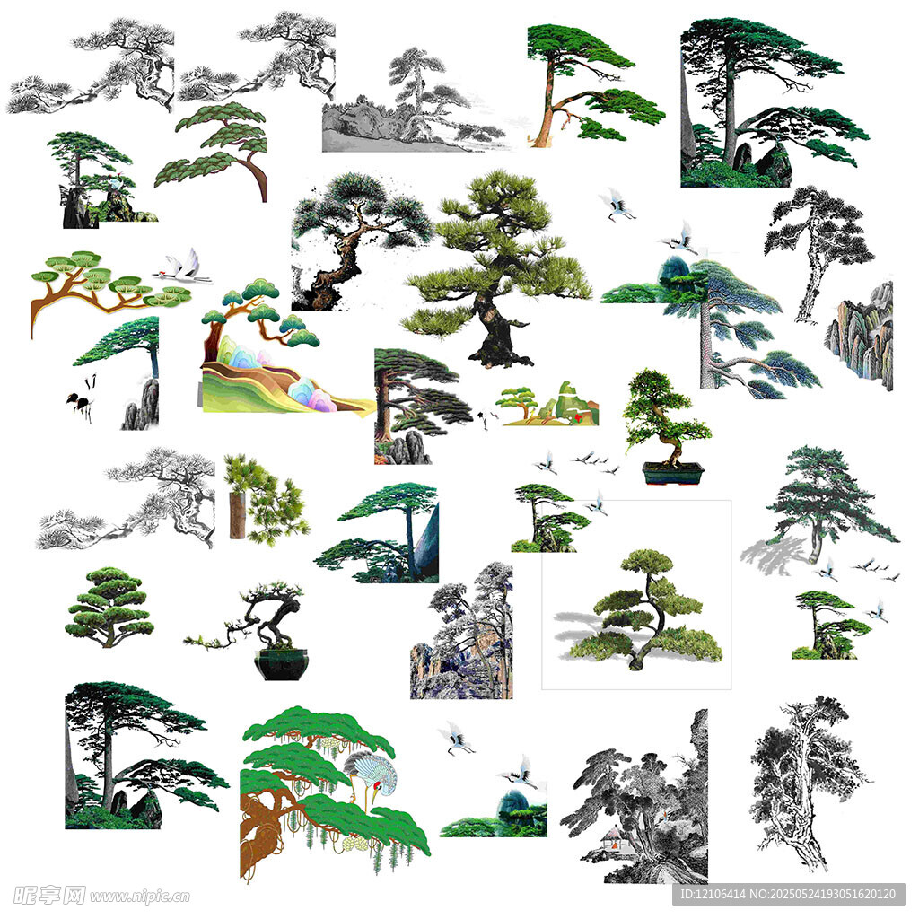迎客松