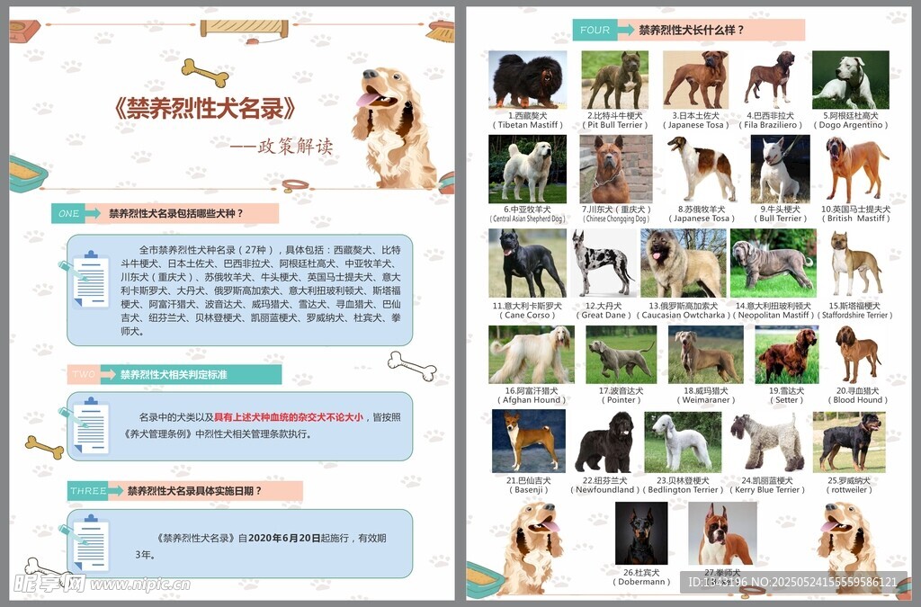 烈性犬只图片