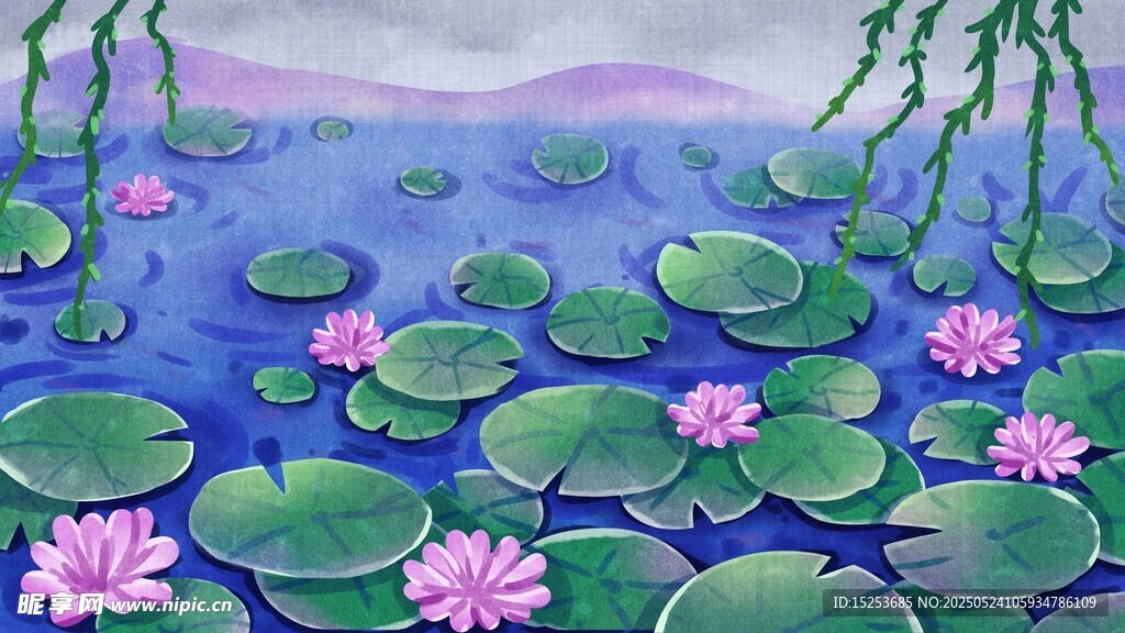 荷塘睡莲美景