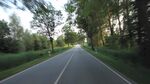 林间公路风景