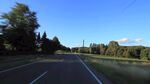 公路风景 蓝天绿树相伴