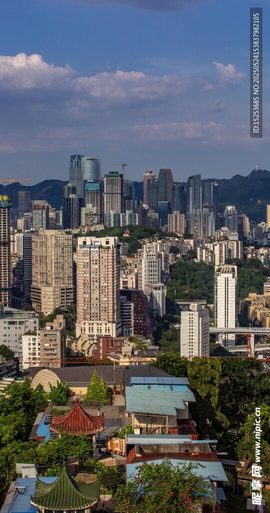 城市天际线与葱郁景观