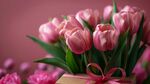 粉色的郁金香花