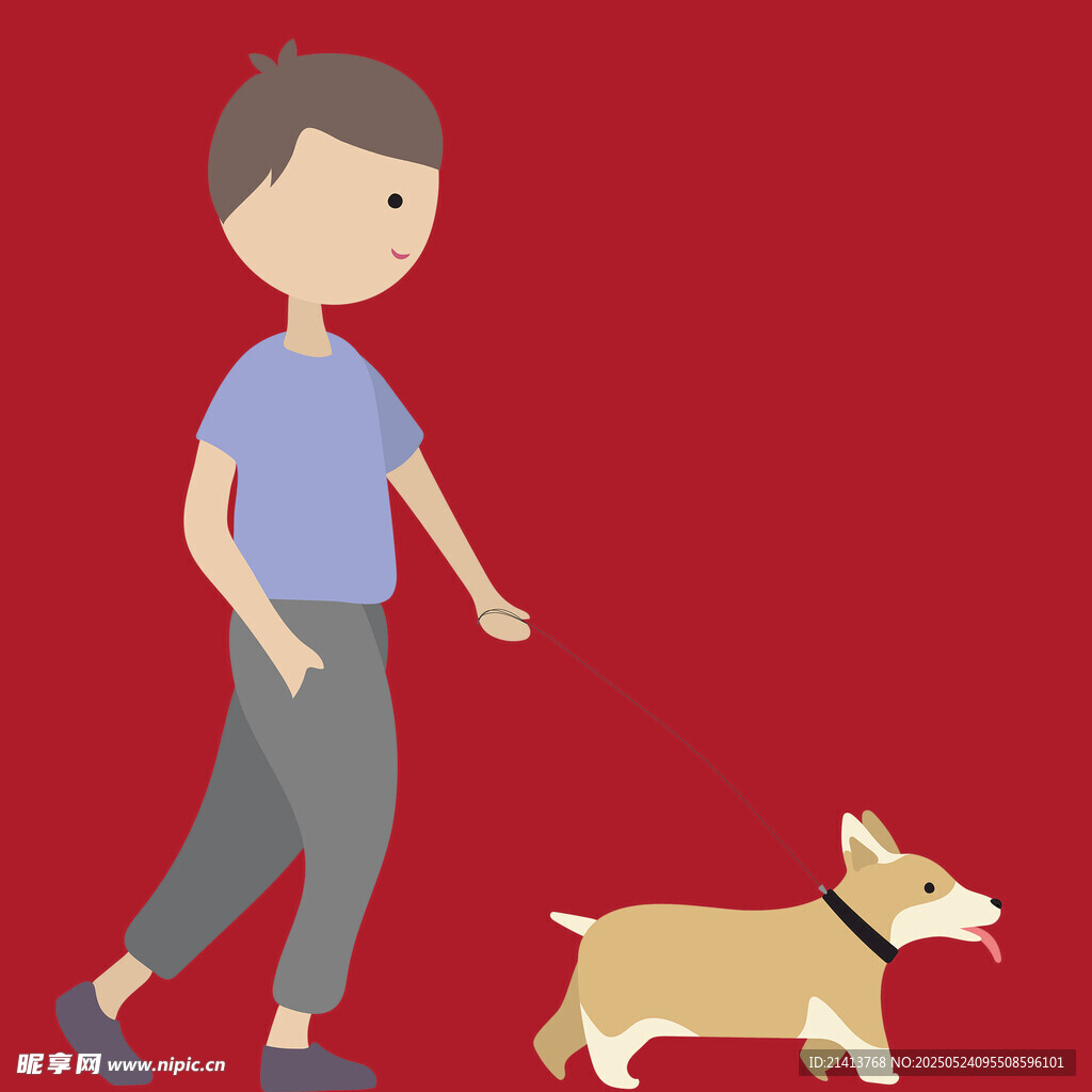 男孩牵柯基散步
