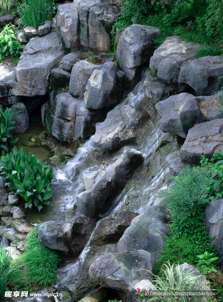 山间嶙峋岩石与绿植相伴