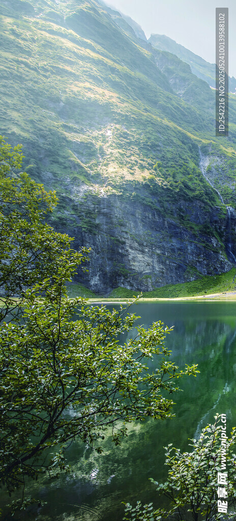 风景