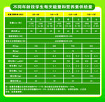 不同年龄段学生每天能量和营养素