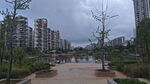 城市雨后的河畔景观