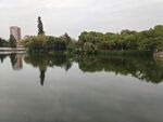 宁静湖畔绿树倒影美景