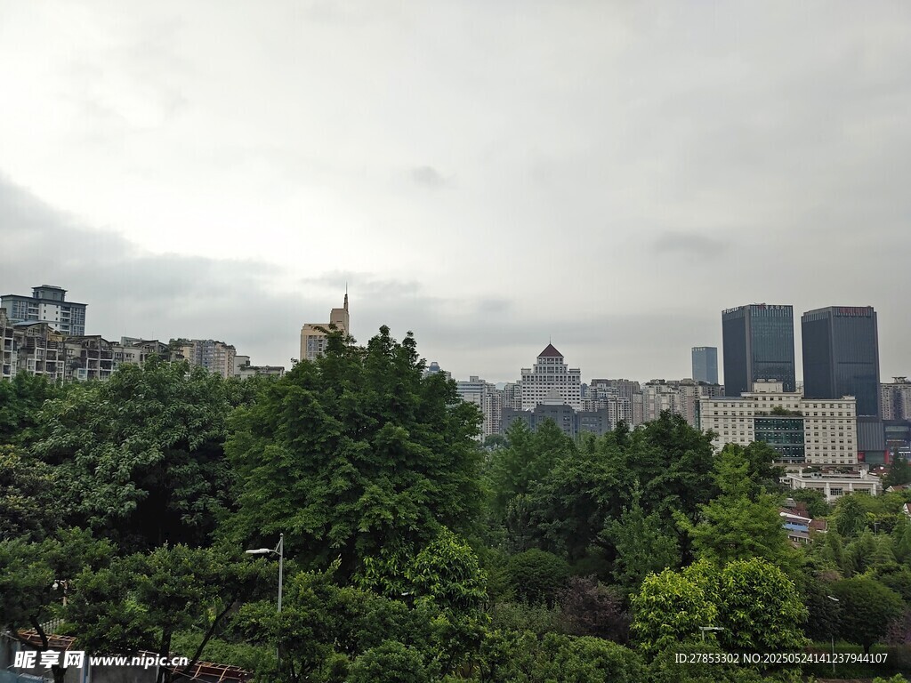 城市中的绿树与高楼景观