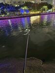夜晚河畔垂钓景象