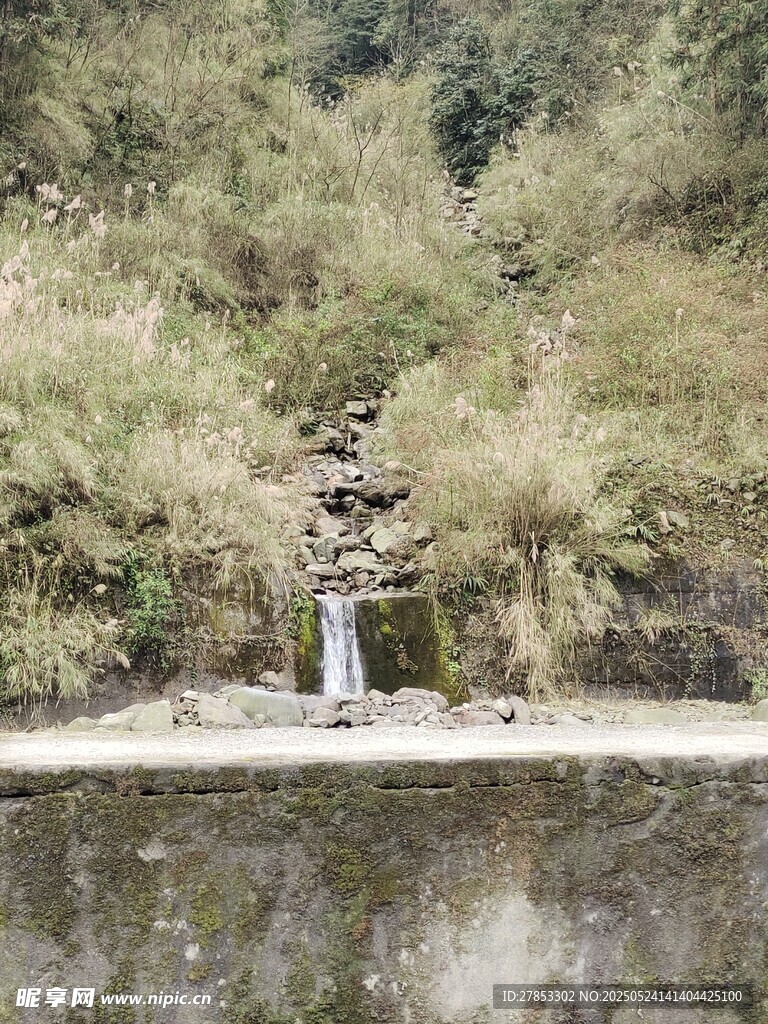 山间石堆旁的静谧小景