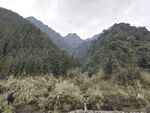 山间景致 绿意盎然的山谷