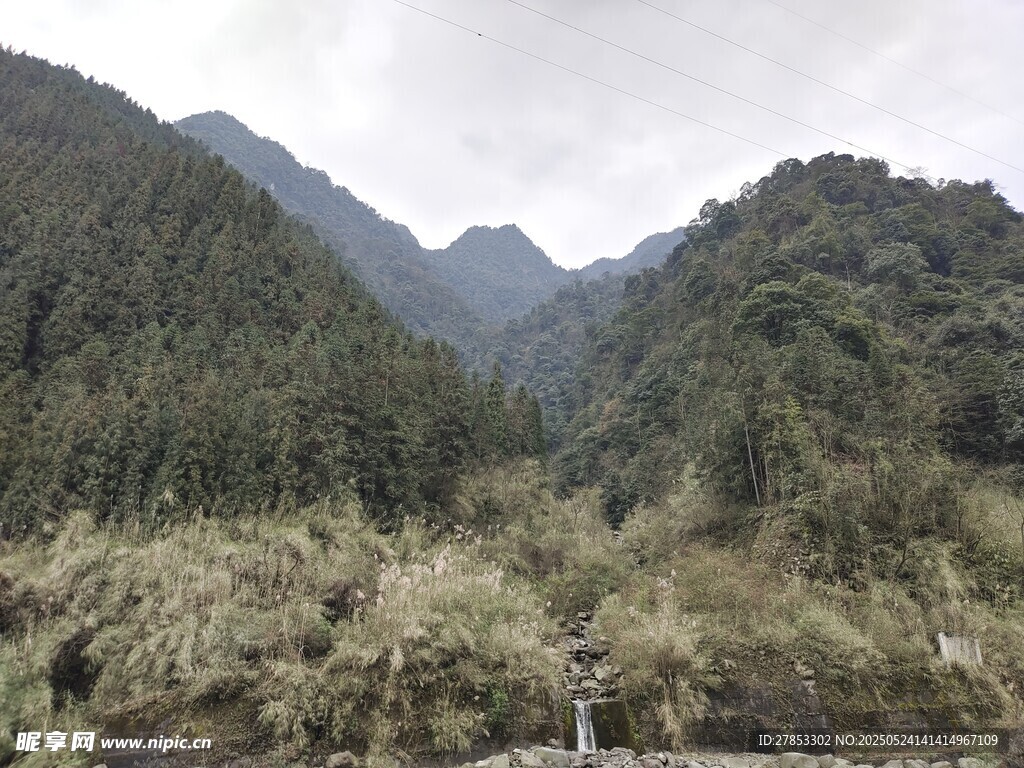 山间景致 绿意盎然的山谷