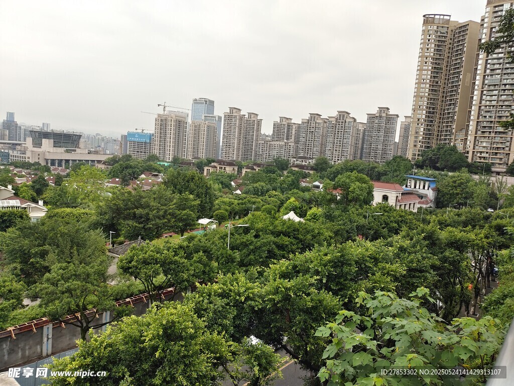 城市中的绿意盎然景观