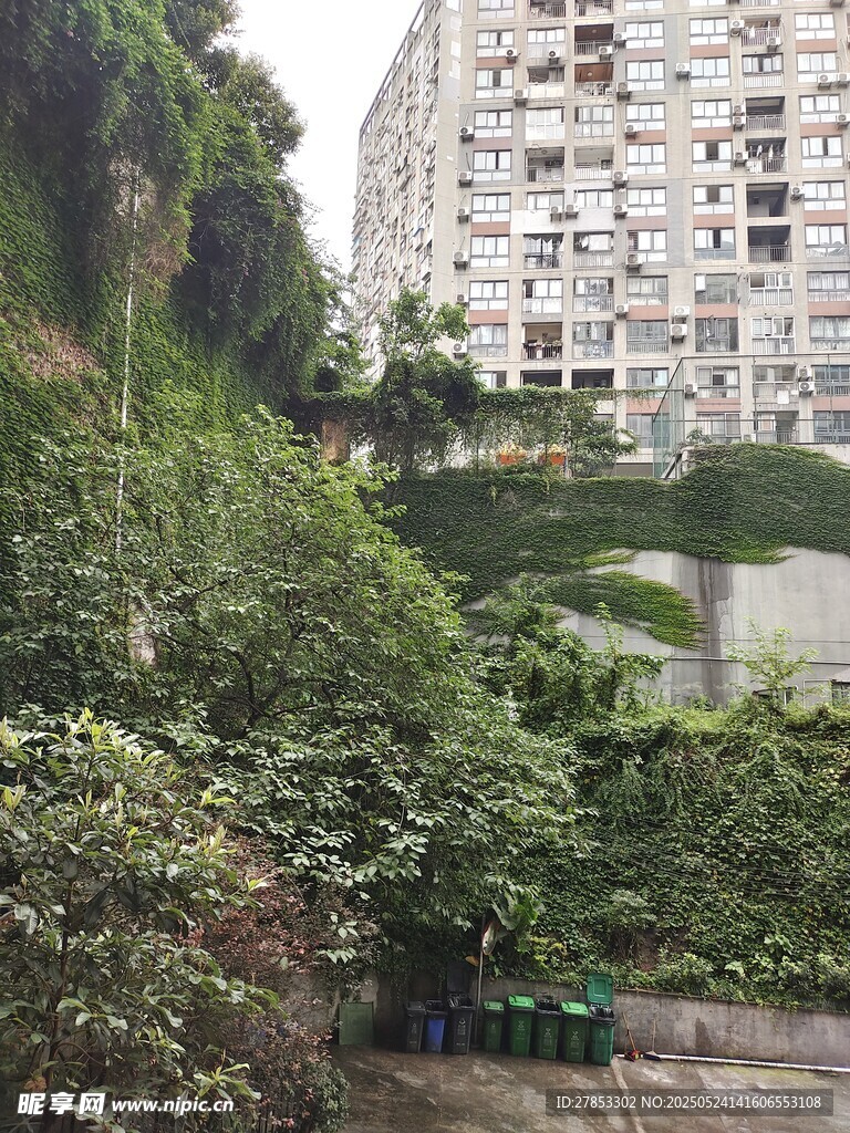 城市中繁茂绿植景观