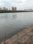 岸边湖畔钓鱼风景