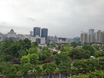 城市绿意景观