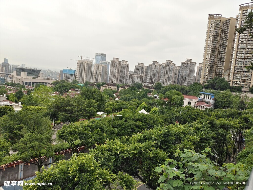 城市中的绿意盎然景观