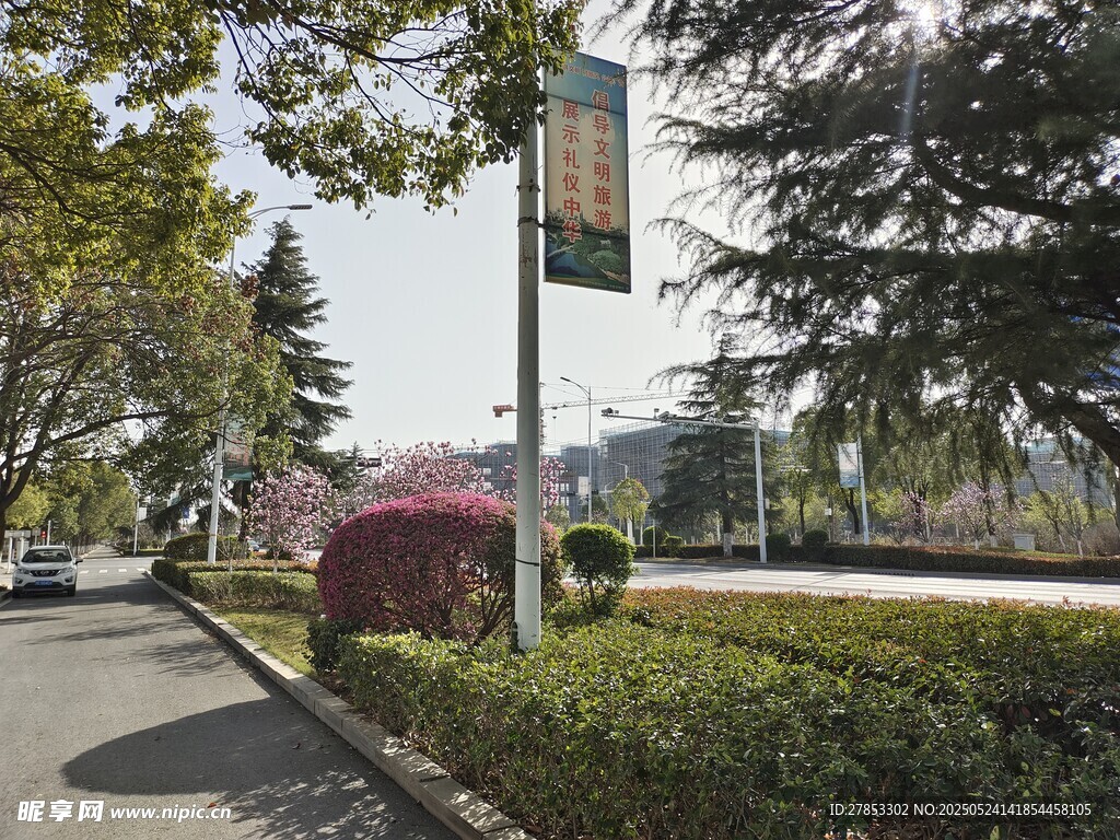 街道旁绿意盎然的景致