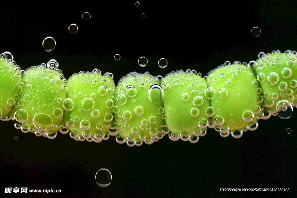 水珠覆盖的绿色植物纹理