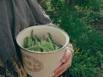 手捧桶中鲜嫩绿色蔬菜