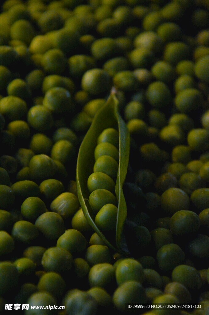 一颗剥开的青豆在豆堆中
