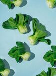 蓝底上的鲜嫩青菜