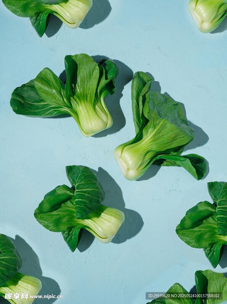 蓝底上的鲜嫩青菜