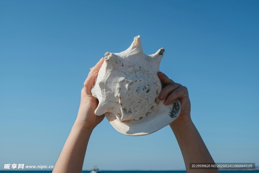 双手捧起的精致海龟雕塑