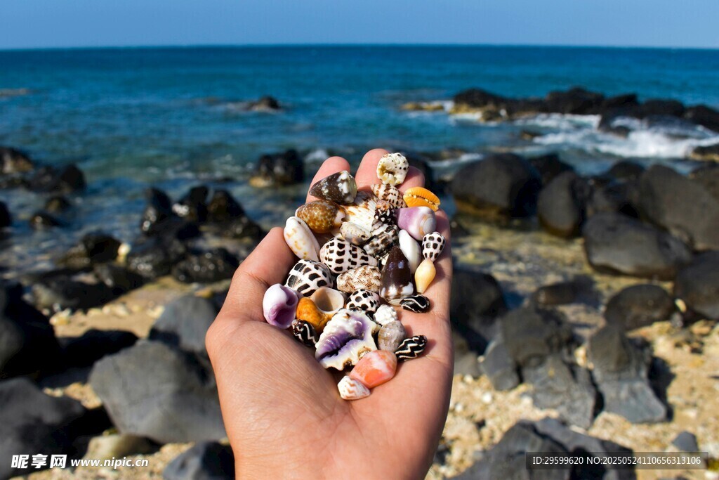 海边手捧多彩贝壳