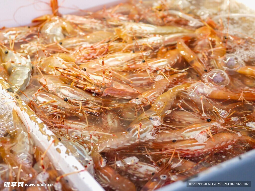 美味鱿鱼丝诱人呈现