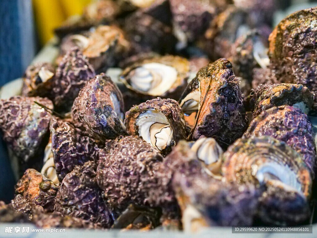 新鲜芋头堆 色泽诱人