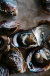 新鲜生蚝特写