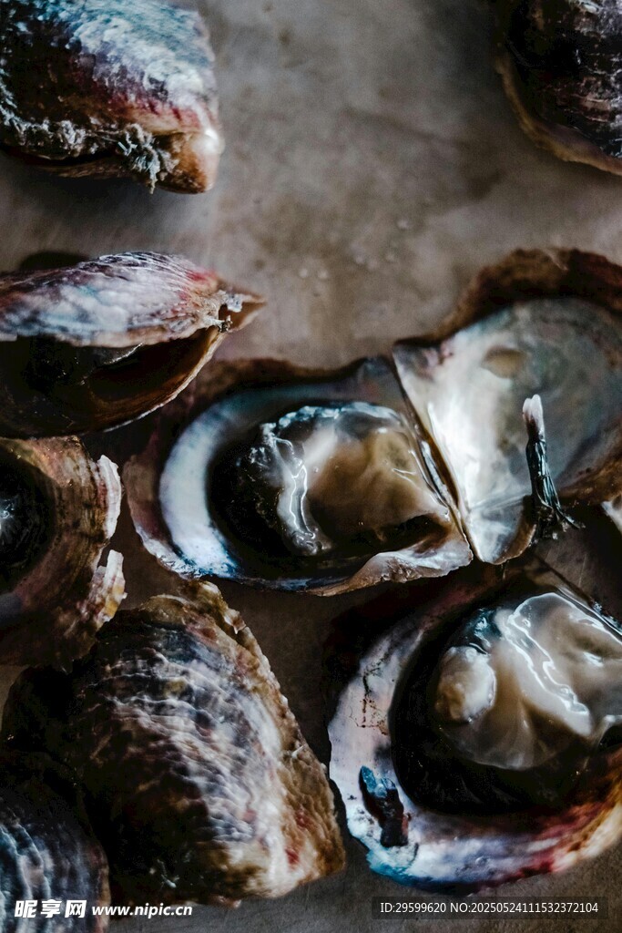 新鲜生蚝特写
