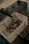 海鲜装篮待处理
