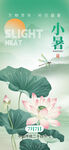 二十四节气小暑荷叶荷花绿色海报