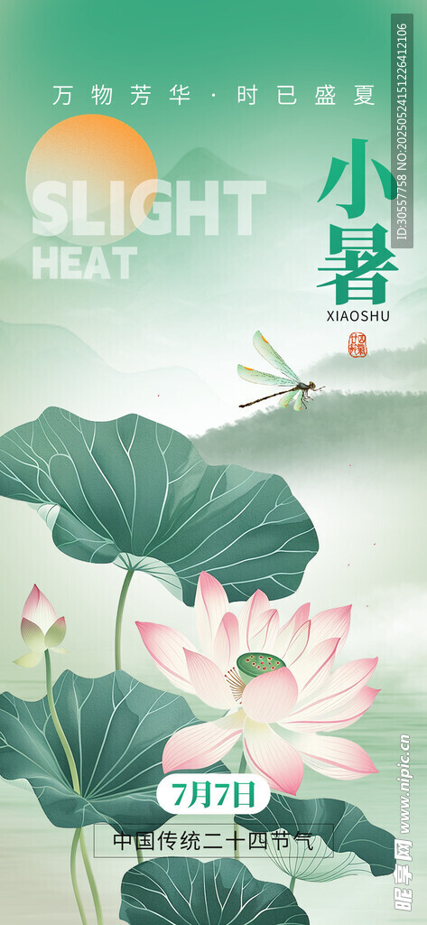 二十四节气小暑荷叶荷花绿色海报