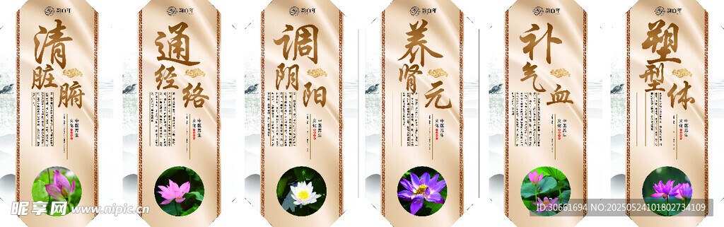 养生美容展板