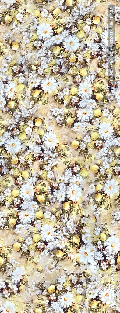 柠檬菊花