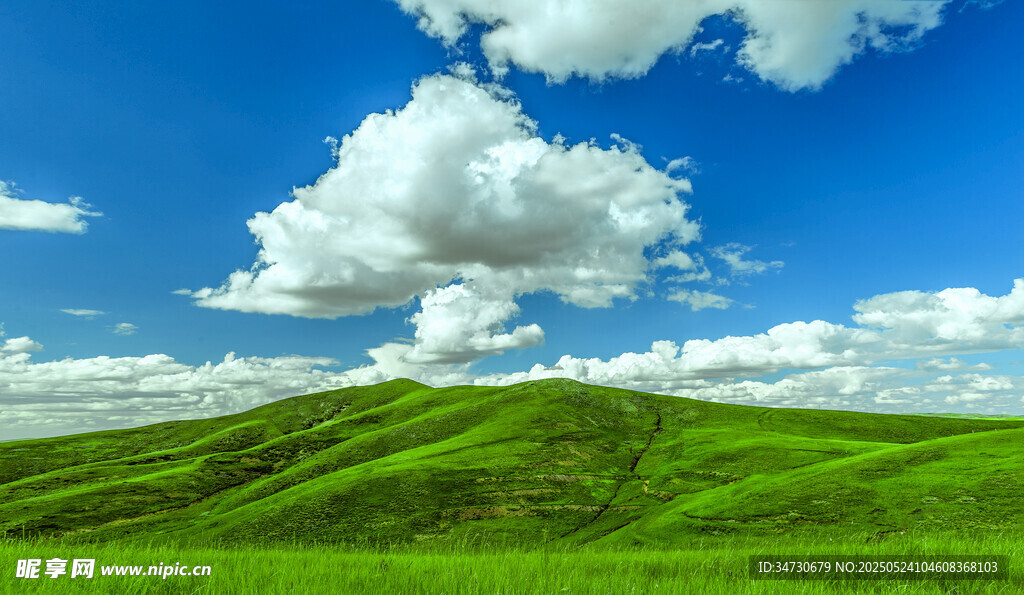 翠绿草原与蓝天白云美景