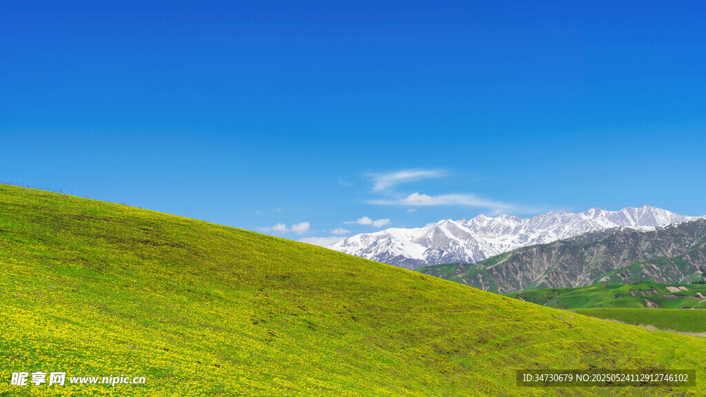 翠绿山坡与远处雪山美景