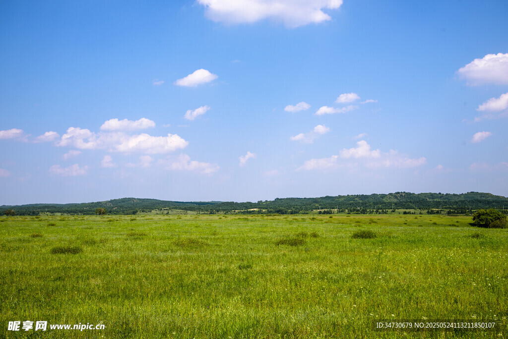 广袤绿野蓝天美景