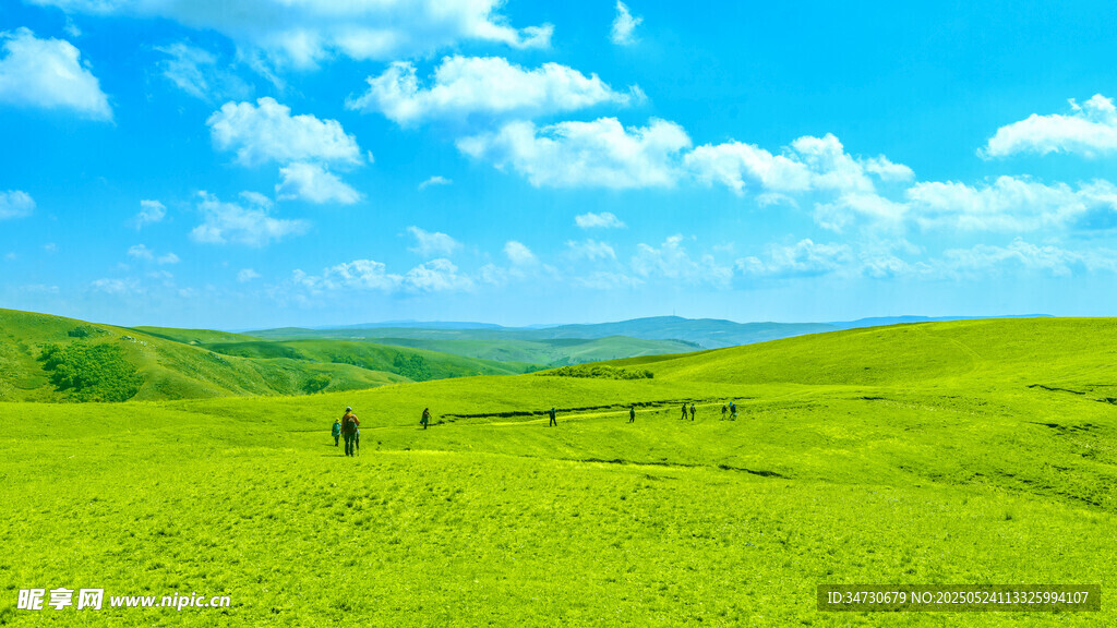 绿色原野上的开阔美景