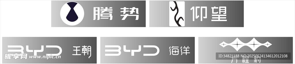 比亚迪  五网四品牌LOGO